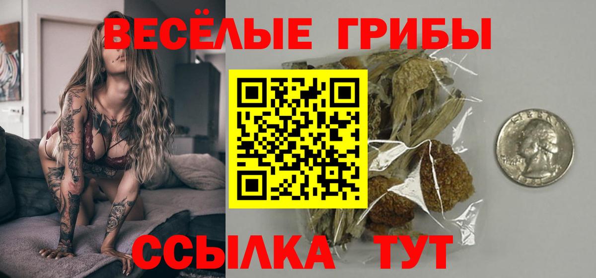 Псилоцибиновые грибы прущие грибы Гусиноозёрск