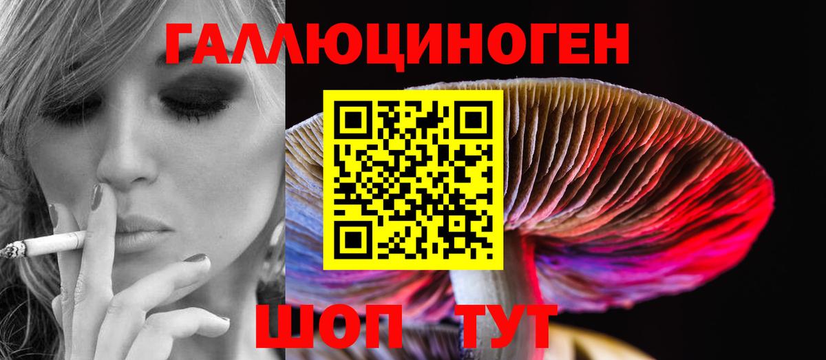 где найти   Псилоцибиновые грибы мухоморы  Вход с VPN  Гусиноозёрск  Псилоцибиновые грибы ЛСД 